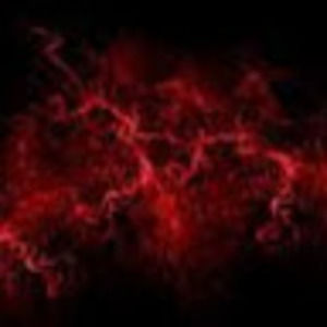 Meet your Posher, Adriana